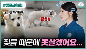 외부사람 들어 오면 나갈때 까지 짖는 강아지 교육하기