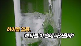 하이볼 열풍, 왜 다들 이 술에 빠졌을까?