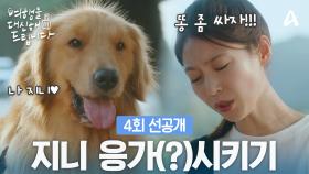 [4회 선공개] ＂똥 좀 싸자!!!＂ 강아지 지니 응가(?)시켜야 하는 공승연