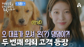 대리 여행 전문 여행사로 탈바꿈! 유준상이 모셔 온 두 번째 의뢰 고객은?!