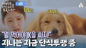 지니는 단식투쟁 중?! 먹지도 않고 싸지도 않는 댕댕이는 처음 봤다!