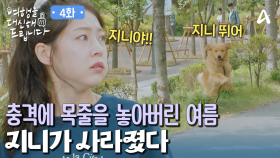 강동호와 박보연의 열애설 인정! 충격에 지니의 목줄을 놓아버린 공승연?!