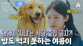 사람은 되지만 개는 안 된다고?! 식당 출입 금지당한 지니! 오늘도 단식하게 생긴 공승연