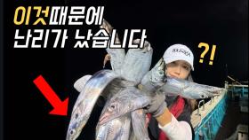 갈치가 두 배로 달려든다는 방법을 해봤는데요?! 미쳤습니다