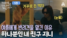 ＂개가 아니라 내 친구라고＂ 진구가 반려견 지니를 보낼 수밖에 없던 이유