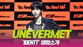 unevermet(유네버멧), ‘IDNTT’ 앨범소개