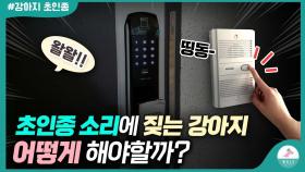 초인종 소리에 짖는 강아지ㅣ세가지 교육방법