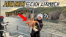 서해 문어낚시 여기서 먼저 시작됐다고?!! 이래서 못 잡은 거였네!!