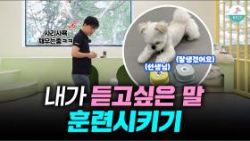 강아지 녹음벨 훈련ㅣ3분만에 하는 방법