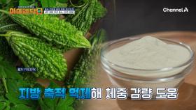 췌장의 기능을 회복시켜 주는 여주 분말! 숨겨진 효능이 또 있다?!