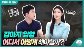 강아지 입양, 분양을 계획하시는 분들이라면…