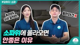 강아지가 소파 위에 올라가면 문제행동이 생길 수 있습니다ㅣ못올라오게 하는 방법