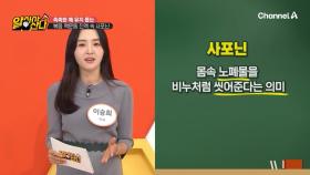 인삼 속에 있는 