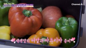 색색깔의 피망과 파프리카 등장! 관절 염증 줄여주는 