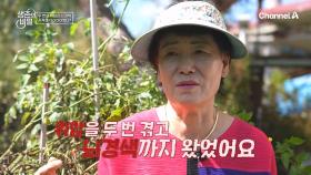 위암을 두 번 겪고 뇌경색까지?! 매번 전쟁 같았던 그녀의 식사 시간