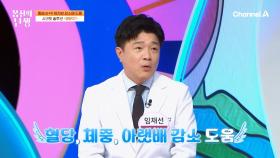 BNR17 유산균으로 당독소 타파! 체지방 & 지방 감소에도 도움을 준다!