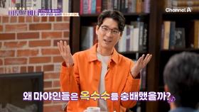 혈관 건강을 연구하는 학자들이 주목하는 문명? 옥수수를 주식으로 한 멕시코