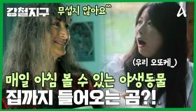 ＂곰이 이곳 안까지 들어오는데 무섭진 않아요＂ 살벌한 이야기를 아무렇지 않게 하는 원더랜드 집주인!