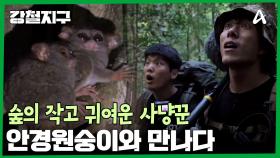 숲의 작고 귀여운 사냥꾼, 안경원숭이를 만난 강철 여행자들!