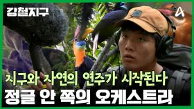 지구와 자연의 연주가 시작된다! 곳곳에서 발견되는 야생에 감탄하는 강철 여행자들!