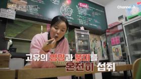 기름은 기름으로 잡는다?! 혈관 건강 지키는 생존의 비밀은?