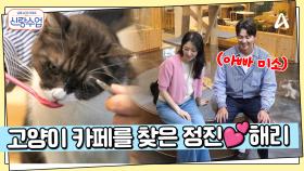 건대 고양이 카페를 찾은 정진♥해리, 정진 표 데이트가 해리에겐 힐링?