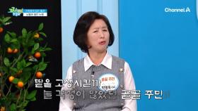 뇌경색 부모님을 10년 동안 간병했다는 골골 주민... 딸에게까지 짐을 지우고 싶지 않다는데?