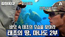 [예고] 끝없는 미지의 영역★ 지구의 푸른 숨결을 탐험하라! 태초의 땅, 마나도 2부