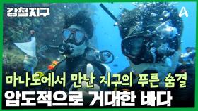 두 눈으로 봐도 믿기지 않는 풍경, 마나도에서 만난 지구의 푸른 숨결