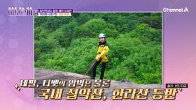 오후 2시, 뒷산에 오르는 이영란? 관절을 지키는 그녀의 등산 습관