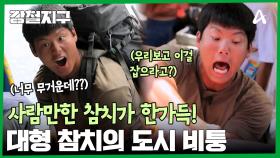 펄떡펄떡~ 사람만한 참치가 줄줄이~ 대형 참치의 도시 비퉁