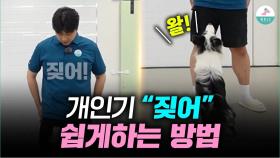 개인기편ㅣ강아지 ‘짖어’ 2분 만에 알려 드리겠습니다