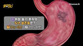 위암 말기 환자의 생존율...? 굉장히 낮은 거 아닌가요?