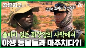 울타리 없는 마지막 야생지대, 화강암으로 이뤄진 사막 다마라랜드