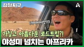 남아프리카의 심장 나미브 사막을 가로지르는 여정?! 야성미 넘치는 아프리카 로드트립