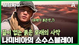 ＂지평선이 바다처럼 보여요...＂ 끝없는 붉은 모래사막, 소수스블레이