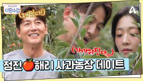 온 세상이 사과 향기로 가득... 정진♥해리 사과 농장 데이트