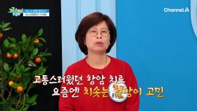 운동도 열심히하고, 식습관도 잘 챙기는데... 왜 당뇨가 찾아왔을까요?!