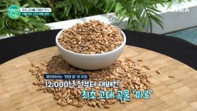 혈당관리와 다이어트에 도움 주는 파로