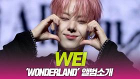위아이(WEi) ‘WONDERLAND’ 앨범소개