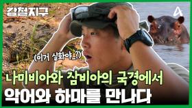 나미비아와 잠비아의 국경에서 악어와 하마를 찾아라?!