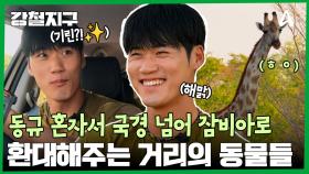 지금부터 여행은 둘이 아닌 혼자?! 동규 홀로 국경을 넘어 잠비아로