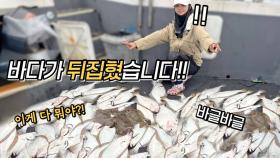 요즘 광어다운샷이 난리난 이유..직접 보고도 놀랐습니다!!ㄷㄷ