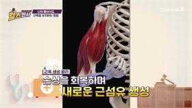 ↑운동 의욕 급상승↑ 나이 들어서도 근육을 유지 가능한 방법! 스쾃 or 플랭크