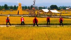 [앉아서 세계 속으로]중국 시골마을 오형제, ‘짝퉁 빅뱅’ 결성?