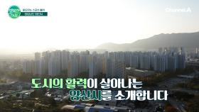 스포츠 대회 개최,육아 돌봄,반려동물 지원을 아끼지 않는 양산