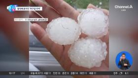 [앉아서 세계 속으로]브라질서 ‘야구공 우박’ 우르르…도시 초토화