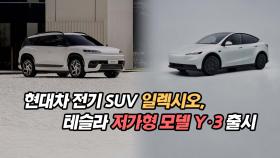 현대차 전기 SUV 일렉시오, 테슬라 저가형 모델 3, Y 출시