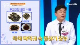 혈액 건강 개선을 돕는 후코이단! 항암과 면역 조절까지 해주는 해결사 역할을 한다?!