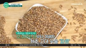 혈당과 다이어트 를 모두 잡고 싶으면?